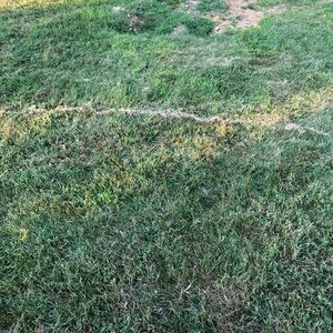 Meet your Posher, Shalon